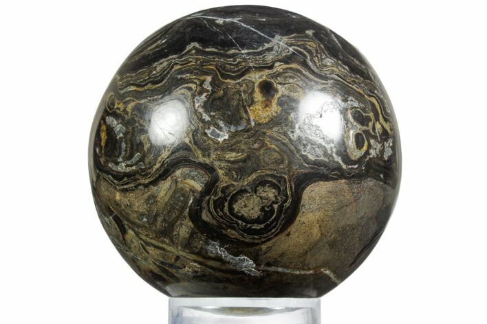 Polished Stromatolite (Greysonia) Sphere - Bolivia #355389